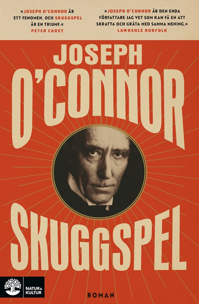 Book cover for Skuggspel