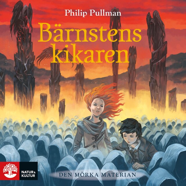 Book cover for Bärnstenskikaren