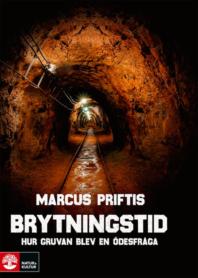 Buchcover für Brytningstid