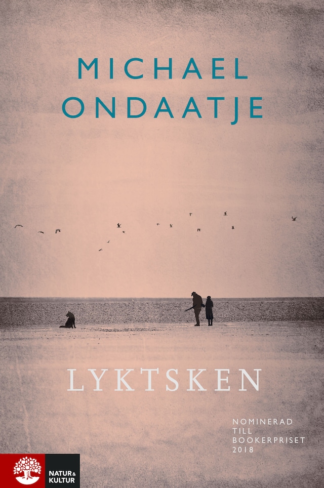 Book cover for Lyktsken