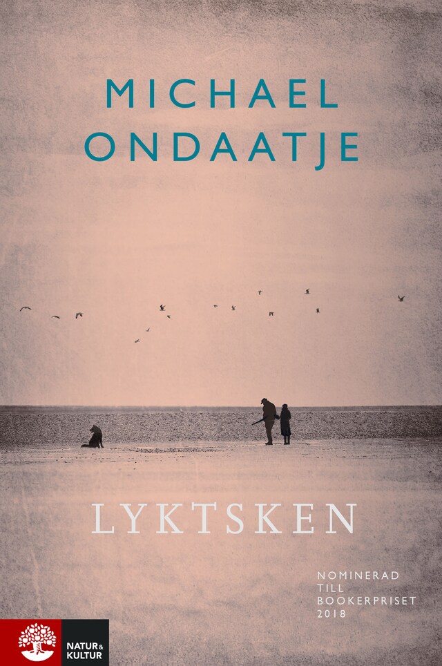 Couverture de livre pour Lyktsken