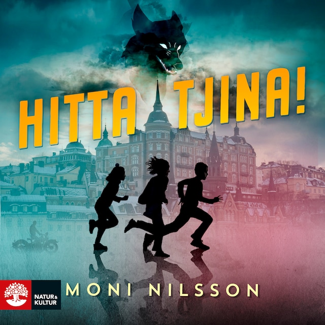 Book cover for Hitta Tjina!