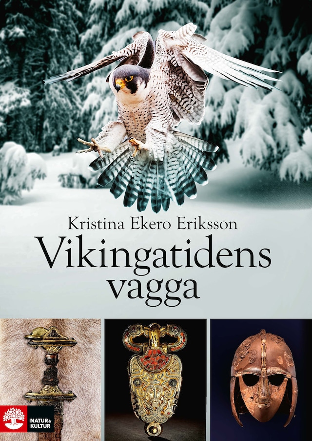 Boekomslag van Vikingatidens vagga
