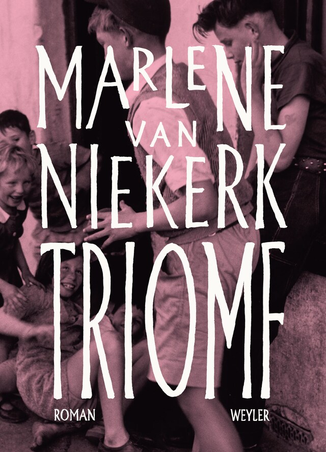 Book cover for Triomf