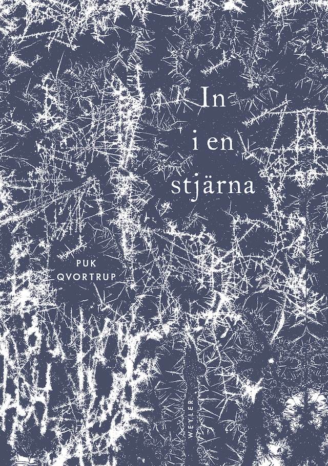 Book cover for In i en stjärna