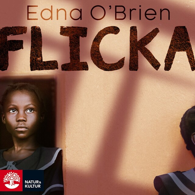 Book cover for Flicka
