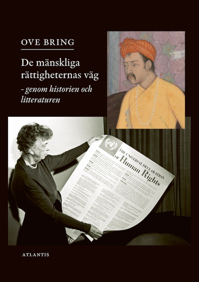 Okładka książki dla De mänskliga rättigheternas väg