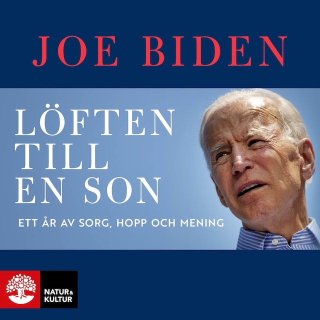 Book cover for Löften till en son :  ett år av sorg, hopp och mening