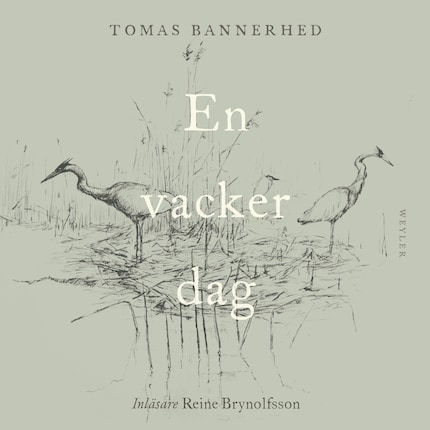 En vacker dag bookCoverFor