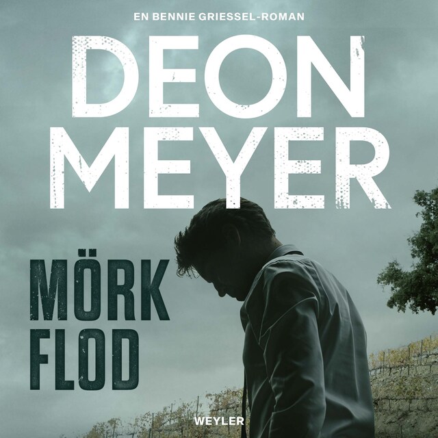 Book cover for Mörk flod