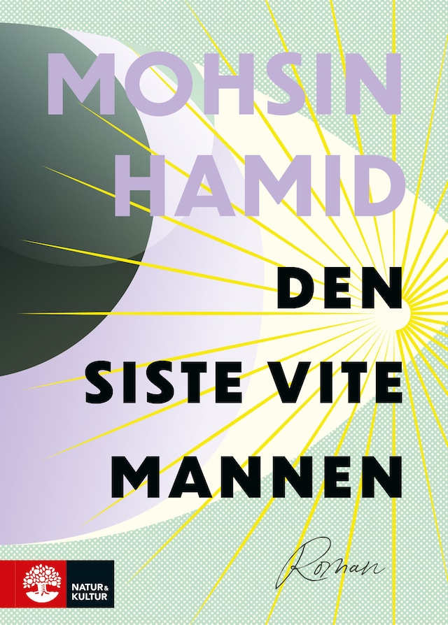 Book cover for Den siste vite mannen
