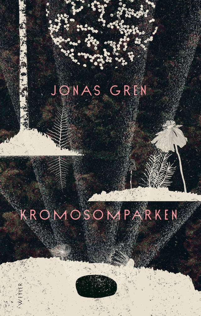 Book cover for Kromosomparken