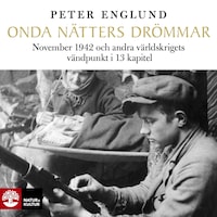 Onda nätters drömmar : november 1942 och andra världskrigets vändpunkt