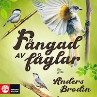 Fångad av fåglar