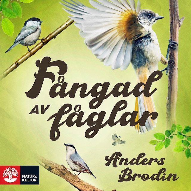 Couverture de livre pour Fångad av fåglar