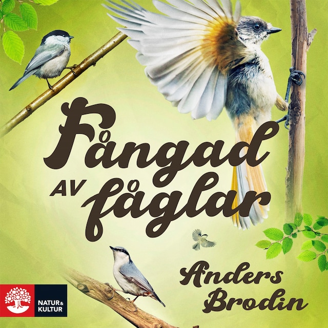 Copertina del libro per Fångad av fåglar