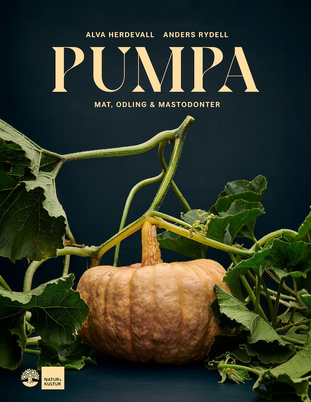 Book cover for Pumpa