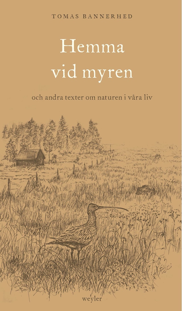 Book cover for Hemma vid myren