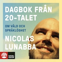 Dagbok från 20-talet : om våld och språklöshet