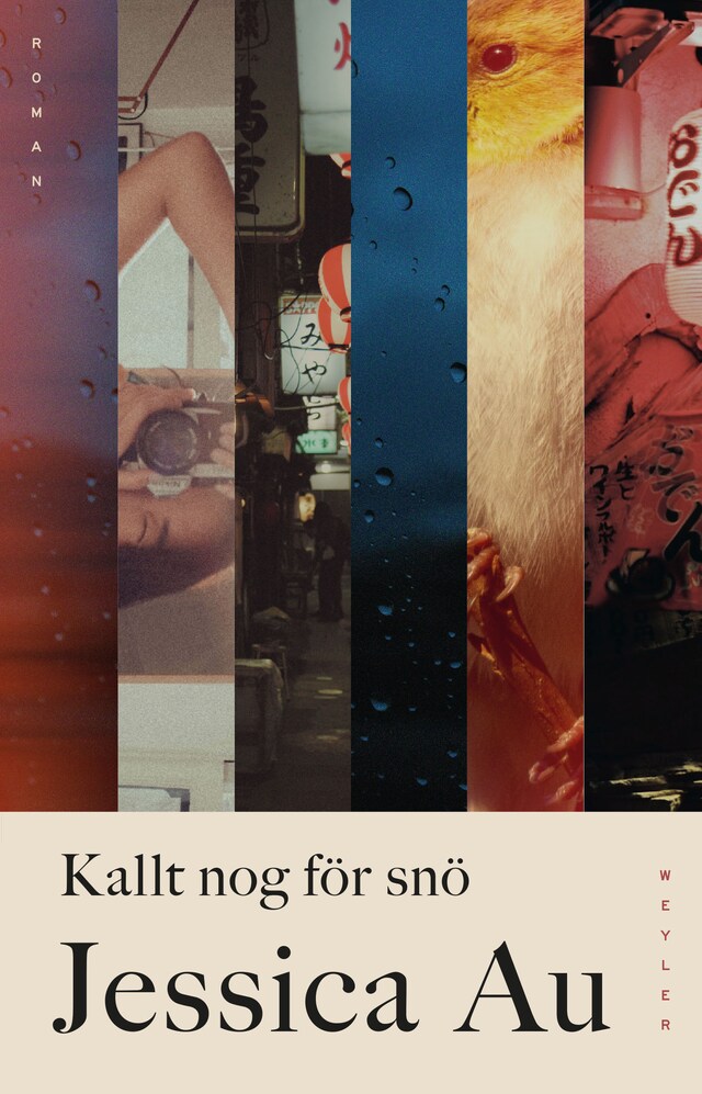 Book cover for Kallt nog för snö