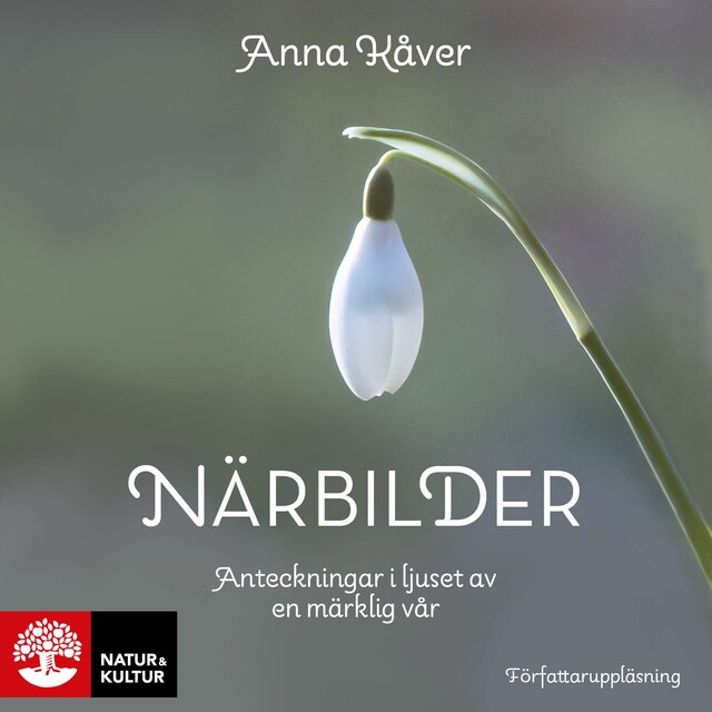 Book cover for Närbilder : Anteckningar i ljuset av en märklig vår