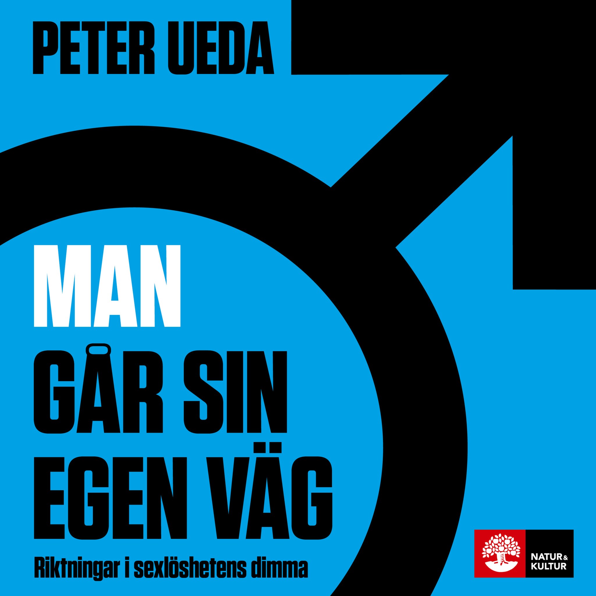 Man går sin egen väg : riktningar i sexlöshetens dimma