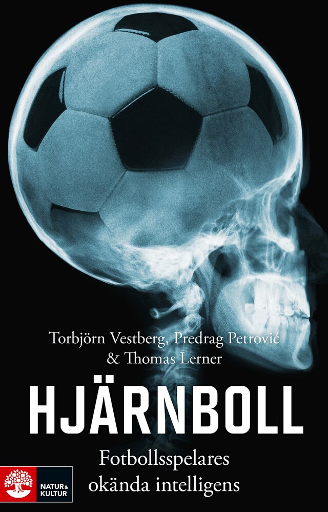 Book cover for Hjärnboll