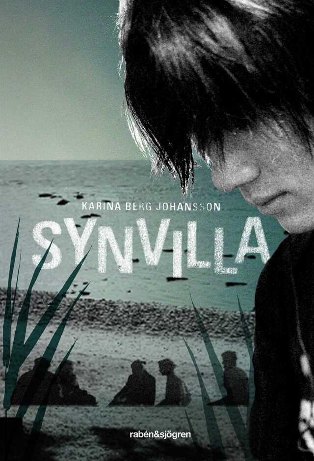 Book cover for Synvilla