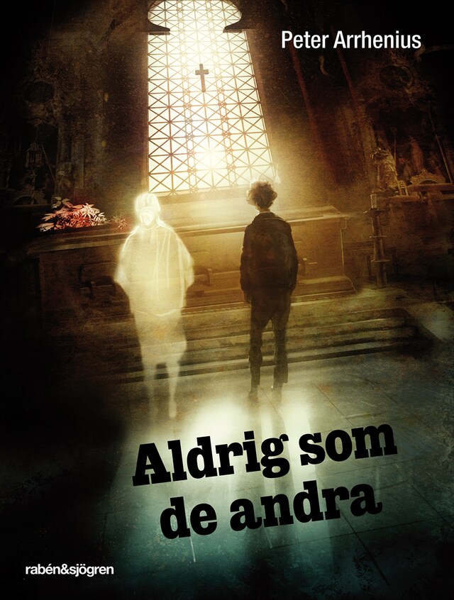 Book cover for Aldrig som de andra