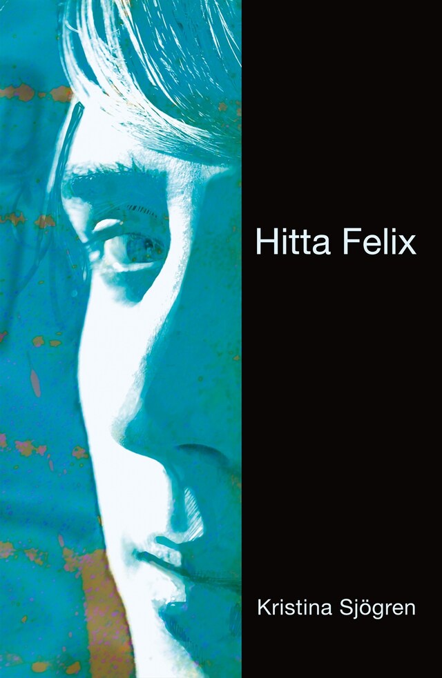 Book cover for Hitta Felix