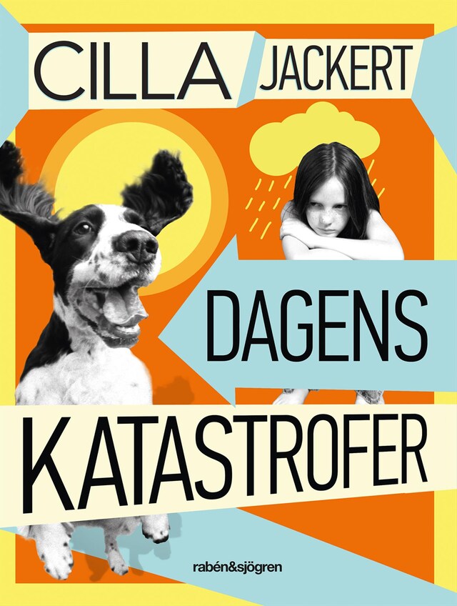 Book cover for Dagens katastrofer