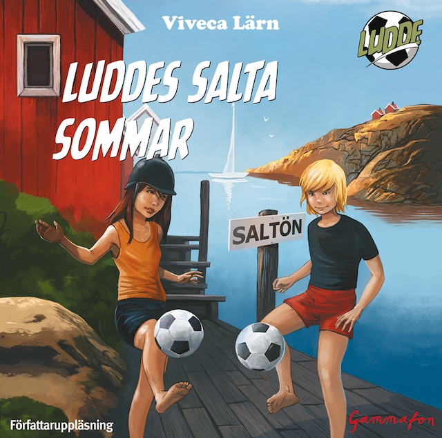 Book cover for Luddes salta sommar