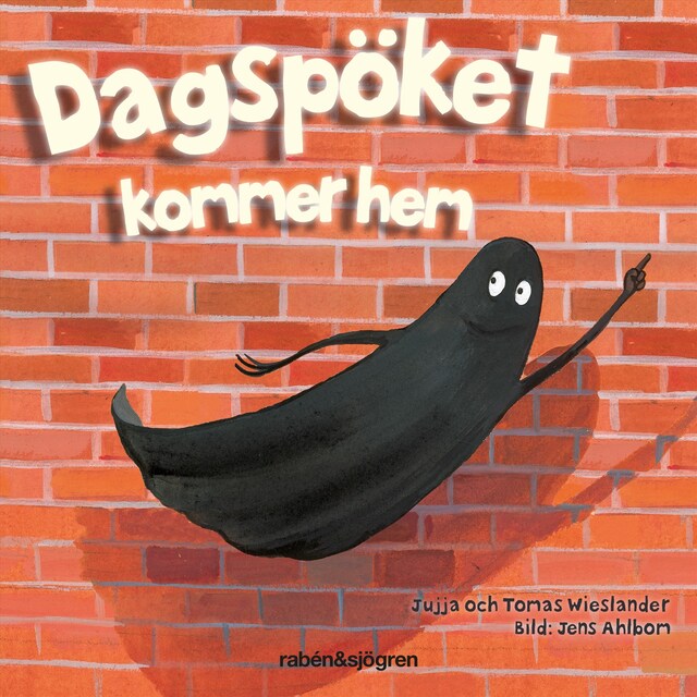 Book cover for Dagspöket kommer hem