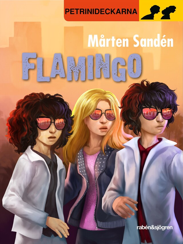 Book cover for Flamingo