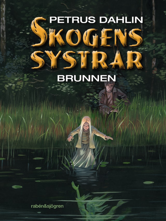 Book cover for Brunnen
