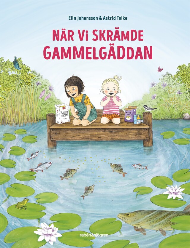 Book cover for När vi skrämde gammelgäddan