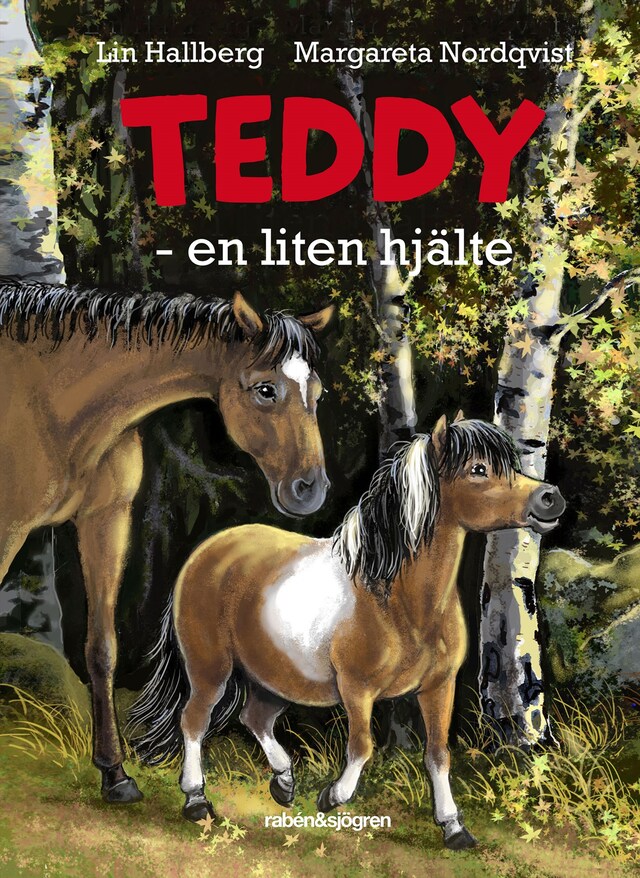 Book cover for Teddy - en liten hjälte