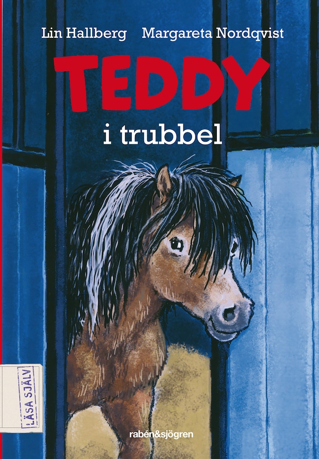 Okładka książki dla Teddy i trubbel