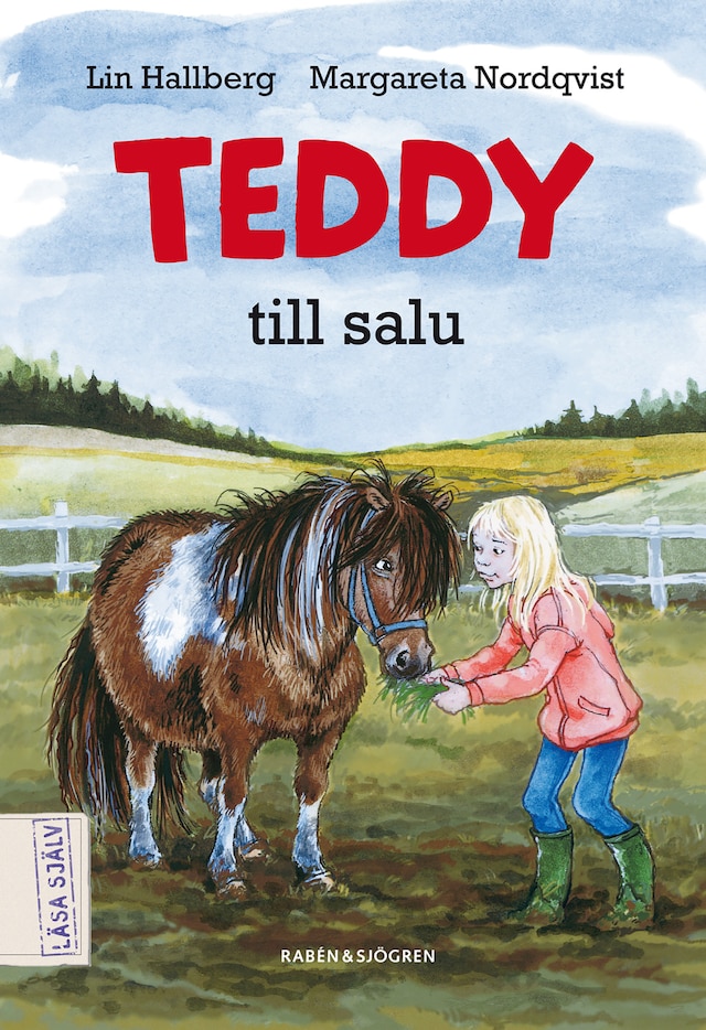 Book cover for Teddy till salu