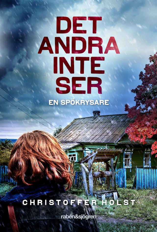 Couverture de livre pour Det andra inte ser