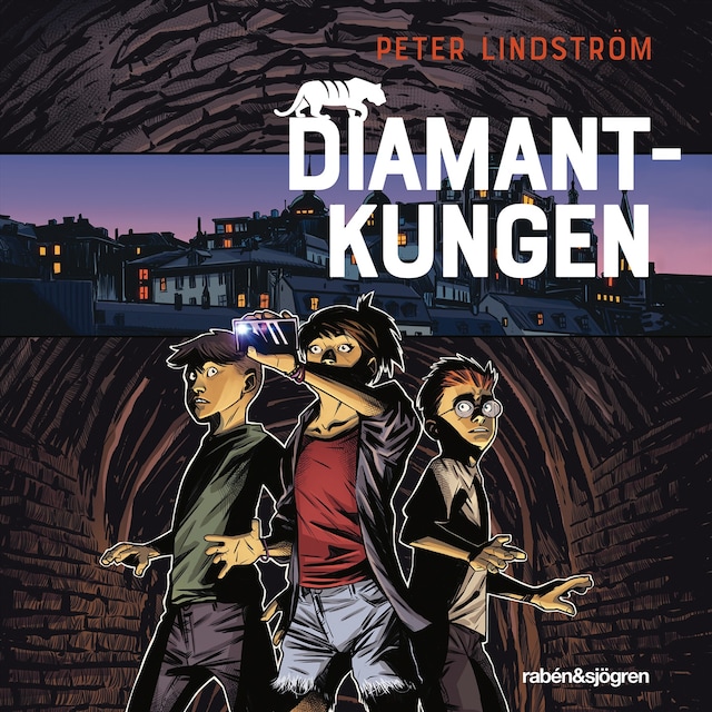 Book cover for Diamantkungen