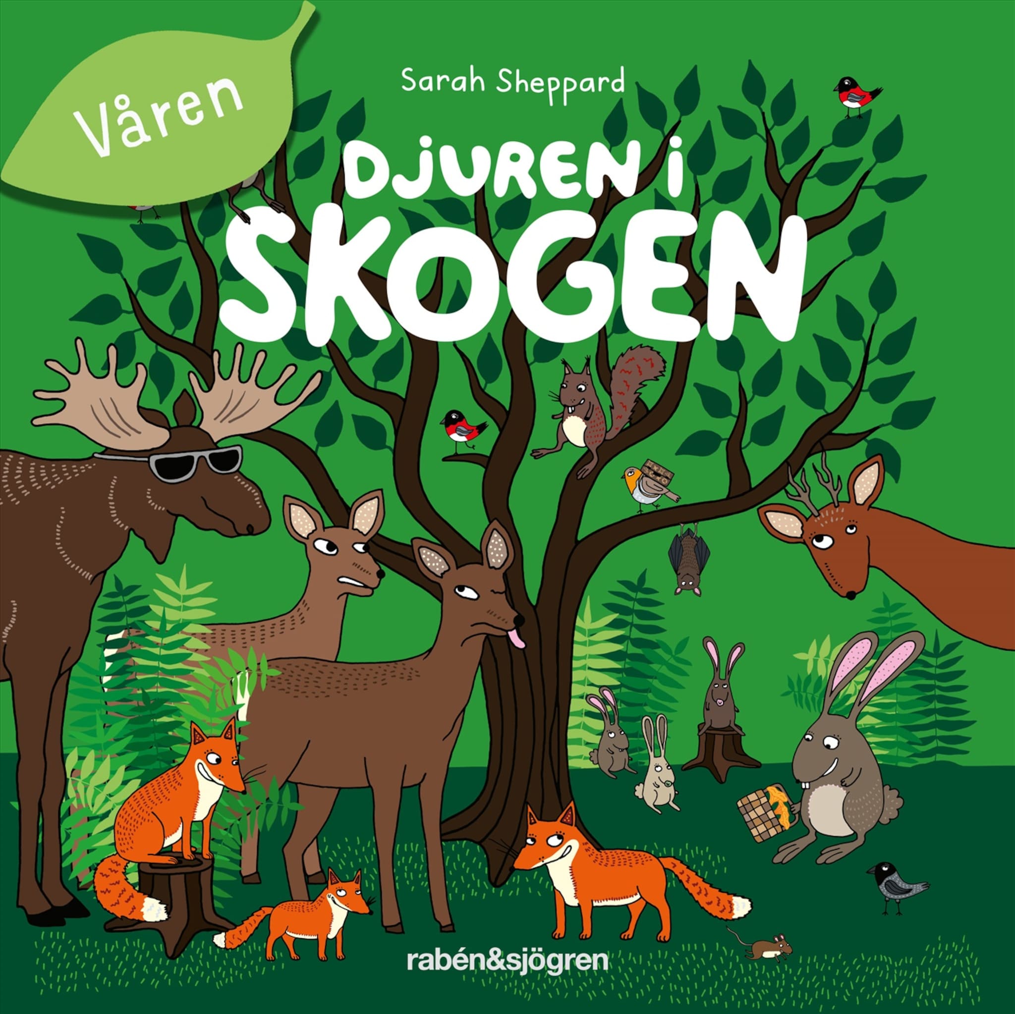 Djuren i skogen - Våren