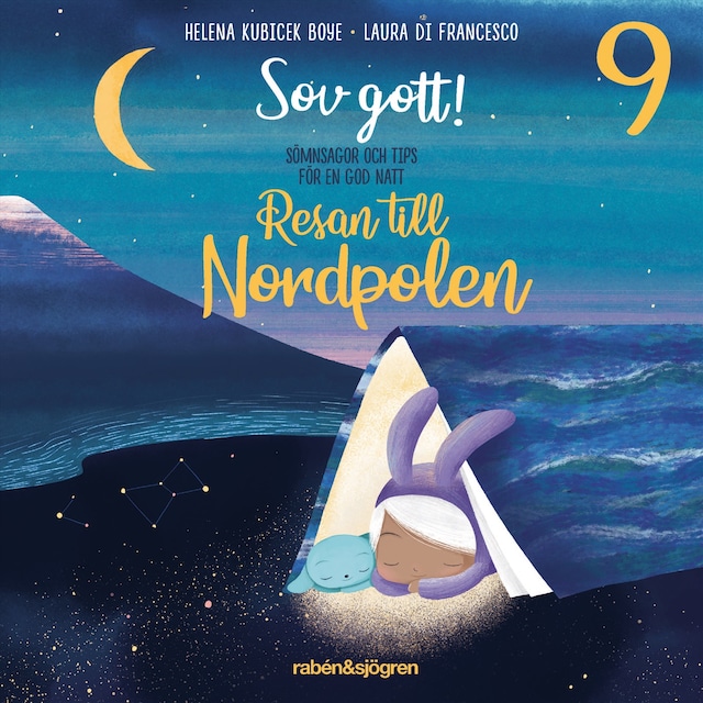 Book cover for Resan till Nordpolen