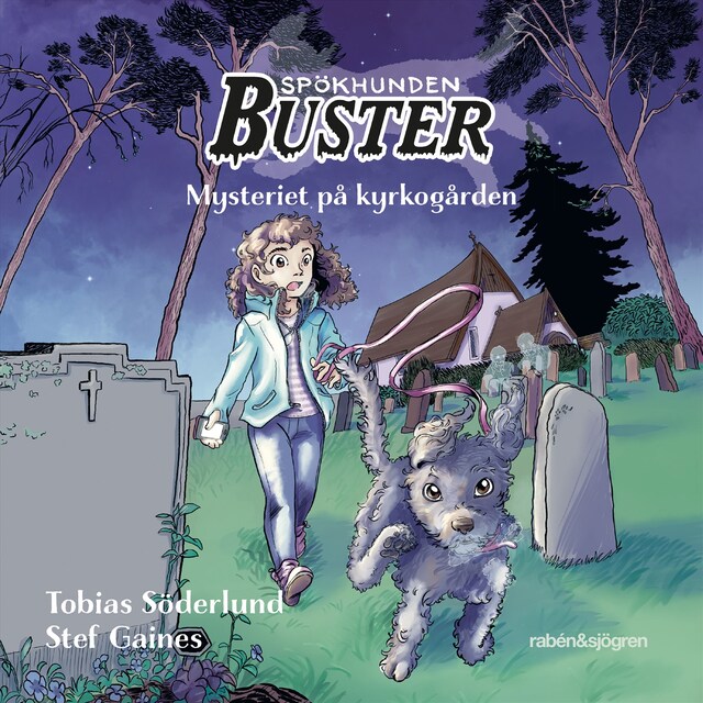 Book cover for Mysteriet på kyrkogården