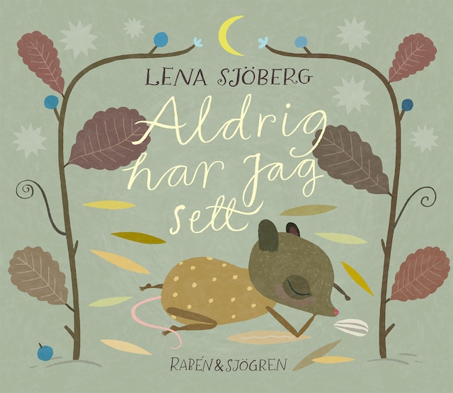 Copertina del libro per Aldrig har jag sett