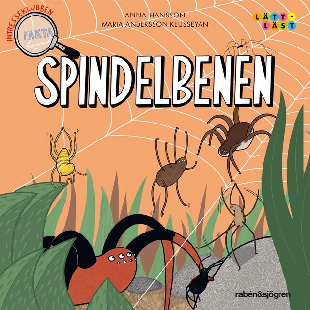 Book cover for Spindelbenen