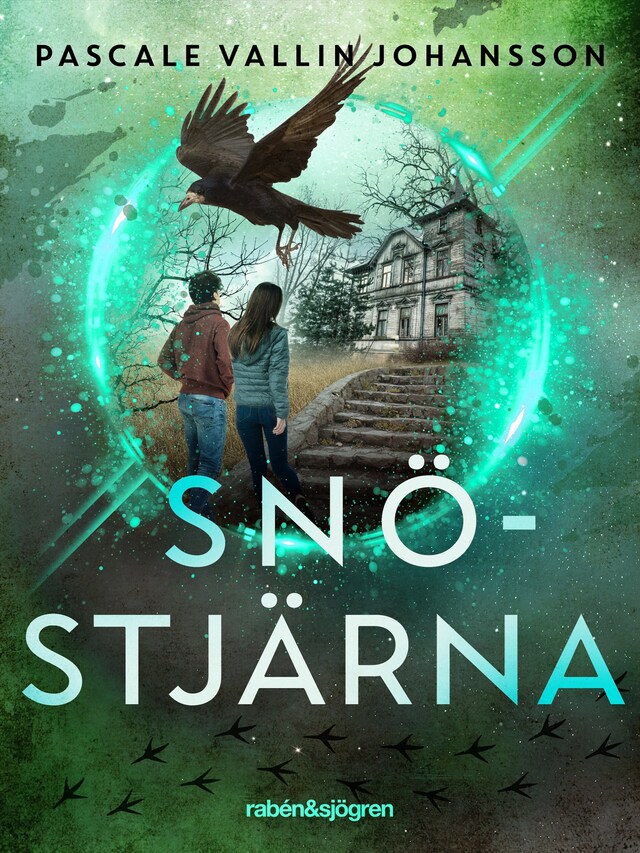 Book cover for Snöstjärna