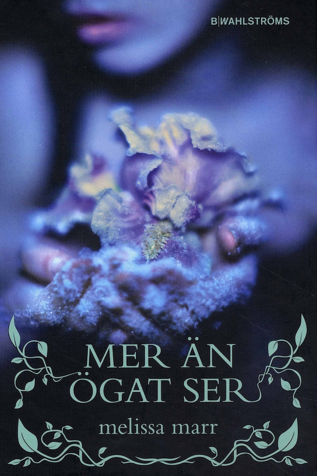 Book cover for Mer än ögat ser