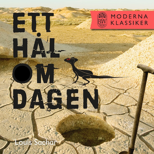 Book cover for Ett hål om dagen