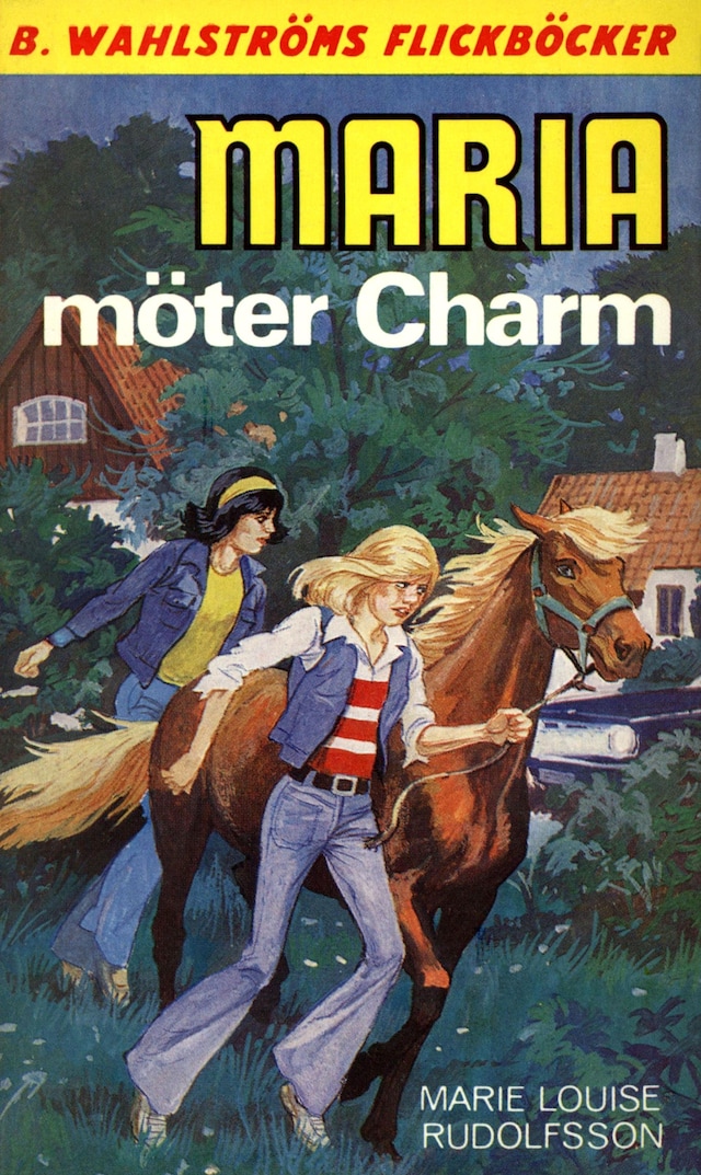 Book cover for Maria möter Charm